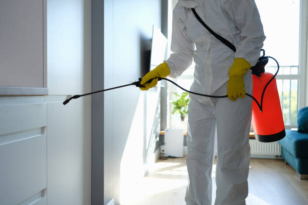 Best Mold Cleaning Services  in Weslaco, TX