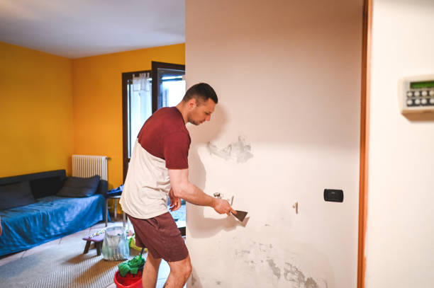 Best Mold Damage Repair  in Weslaco, TX